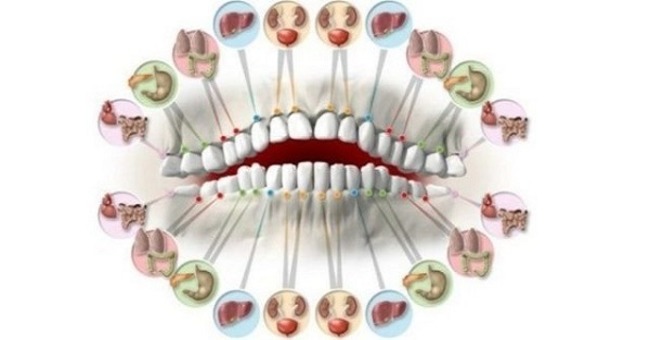 Katrs zobs ir saistīts ar noteiktu orgānu jūsu ķermenī