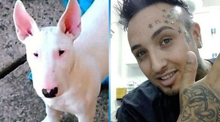 Šī suņa īpašnieki savam mīlulim uz purna uztaisīja tetovējumu. Nepagāja ilgs laiks, kad viņiem nācās par to samaksāt…