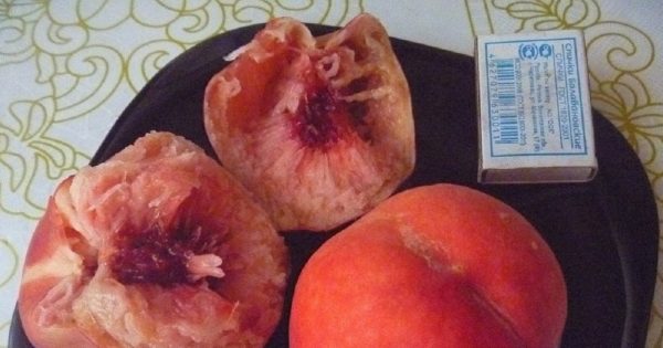 Vasaras atpūtas šausmas: kā var izmainīties tirgū nopirkts persiks, un kāpēc ir tik svarīgi ēst šašliku