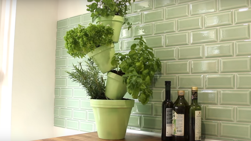 Kā izveidot garšaugu mini-dārziņu jūsu virtuvē?