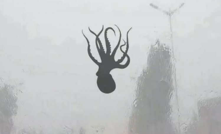 Ķīnā nolija astoņkāju, gliemežvāku un molusku lietus. Un tas bija tikai sākums