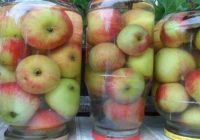 Pati vienkāršākā ābolu uzglabāšanas recepte. Līdz ziemai nenostāvēs – būs jau apēsti!