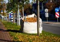 Sāksies rudens lapu vākšanas akcija Ventspilī