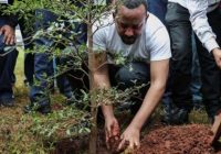 Etiopijā 12 stundās iestādīja 350 miljonus koku!