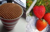 25 ideālas fotogrāfijas, kas spēj nomierināt ne sliktāk kā baldriāns 25 ideālas fotogrāfijas, kas spēj nomierināt ne sliktāk kā baldriāns
