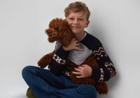 Svētki ar suni un kaķi: eglīte, rotājumi un mājoklis pilnīgā drošībā – praktisku ieteikumu ceļvedis