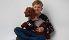 Svētki ar suni un kaķi: eglīte, rotājumi un mājoklis pilnīgā drošībā – praktisku ieteikumu ceļvedis